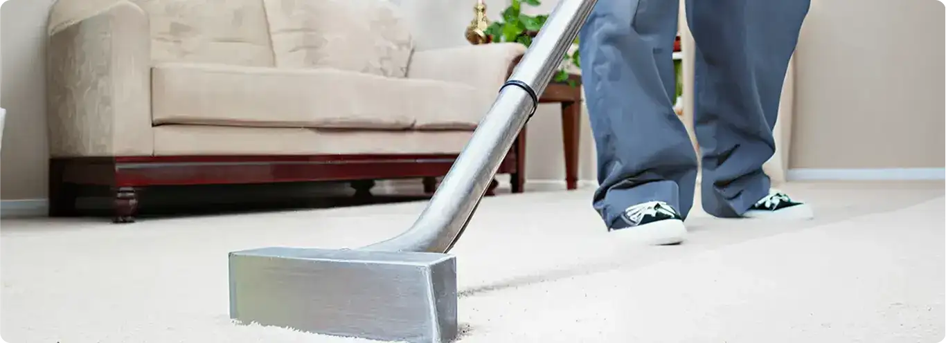 Carpet cleaning technician using a hot-water extraction wand on a light-colored carpet in a living room, Fort Collins, CO.