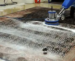 Professional rug cleaning with a rotary floor machine and shampoo foam, deep-cleaning an area rug, in Fort Collins, CO.